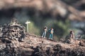 Group of Hikers is passing by signpost on trail in a forest Royalty Free Stock Photo