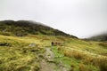 A group of hikers in Snowdonia National Park in Wales Royalty Free Stock Photo