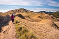 A group of hikers taking the trail at Mount Pulag National Park, Benguet, Philippines