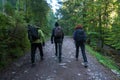 Group of hikers on a trail