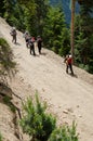 Group of hikers