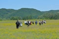 Group of hikers walk in nature