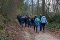 Group of hikers walk on the path in the woods