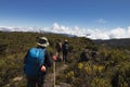 Group of hikers walking through a beautiful green and sunny landscape in the mountains of Costa Rica