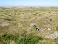 Group of hikers walking in dunes of nature reserve of West Frisian island Vlieland, Netherlands