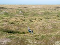 Group of hikers walking in dunes of nature reserve of West Frisian island Vlieland, Netherlands