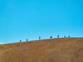 Group of hikers walking on a mountain uphill in summer