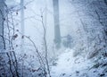 Group of hikers walking to mount Inovec on a frozen trail in a snowy forest in Povazsky Inovec range