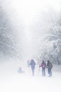 Group Hikers Walking On Trail Snow Covered And Foggy