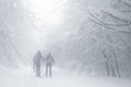 Group Hikers Walking On Trail Snow Covered And Foggy