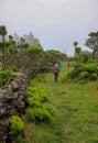 Group hiking, green landscapes, Pico island, Azores