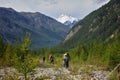 Group hiking, multi-day backpacking. Hiking in the Altai mountains, amazing landscape of the valley of the mountain range. Russia