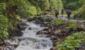 Group of hiking tourists going to Carpatian mountains