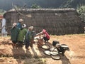 Group of hill tribe women in northern of Thailand are pounding r