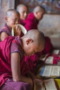 Group of Himalayan Bhutanese young novice monks sitting on floor and reciting , Bhutan