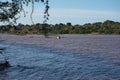 A group of hippopotamus relaxin in the Sabaki river, north of Malindi