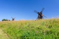 Group of historical windmills on Oland island