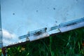 Group of honeybees flying into a vintage beehive