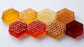 A group of honeycombs sitting on top of each other on a table Royalty Free Stock Photo