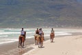 Horse Riders on Beach Royalty Free Stock Photo
