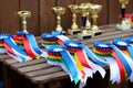 Group of horse riding equestrian sport trophys badges rosettes at equestrian event at summertime Royalty Free Stock Photo