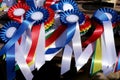 Closeup of colorful ribbons awards rosettes and trophys for winners In equitation competition Royalty Free Stock Photo