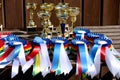 Closeup of colorful ribbons awards rosettes and trophys for winners In equitation competition Royalty Free Stock Photo