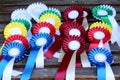 Group of horse riding equestrian sport trophys badges rosettes on table at equestrian event