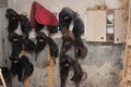 Group of horse saddles hunging on wall in stable Royalty Free Stock Photo