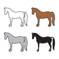 Group of horse on a white background. Animals.