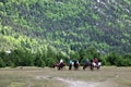 Group of horseback riders in Dyea, Alaska Royalty Free Stock Photo