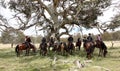 Group of horseriders Royalty Free Stock Photo