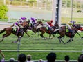 Group of horses charging for the finish line during racing day in Bangkok Thailand