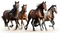 Group of horses galloping in the sand, isolated on white background, Generative AI Royalty Free Stock Photo