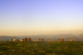 group of horses pacing in the mountains at sunset Royalty Free Stock Photo