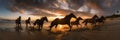 A group of horses running along a beach at sunset. AI generative image. Royalty Free Stock Photo