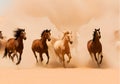 Group of horses running free in a desert sand dust.