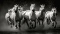Group of horses running on water, black and white image Royalty Free Stock Photo