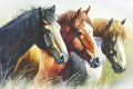 A group of horses standing together in a field, their heads close as they nuzzle each other affectionately, illustration