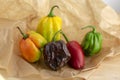 Group of hot peppers habanero and jalapeno, various color on creased beige brown paper, mexican cuisine very hot ingredients