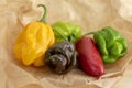 Group of hot peppers habanero and jalapeno, various color on creased beige brown paper, mexican cuisine very hot ingredients