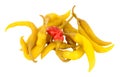 Group Of Hot Pickled Peppers