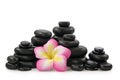 Group of hot stones and flower Royalty Free Stock Photo