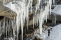 Group of icicles Royalty Free Stock Photo