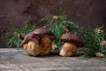 Group of Imleria Badia or Boletus badius mushrooms commonly known as the bay bolete on vintage wooden background