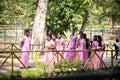 Group of indian female students in traditional pink sarees walks by green park