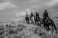 Group of Indian Horse riding riders on a trail in Drakensberg re Royalty Free Stock Photo