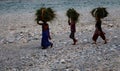 Group of indian women traditionally carrying sheaves of grass on their heads on river bank in Jim Corbett National Park, India on
