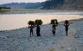 Group of indian women traditionally carrying sheaves of grass on their heads on river bank in Jim Corbett National Park, India on