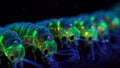 A group of insect larvae lined up in a row each one glowing under UV light as they consume and neutralize toxic